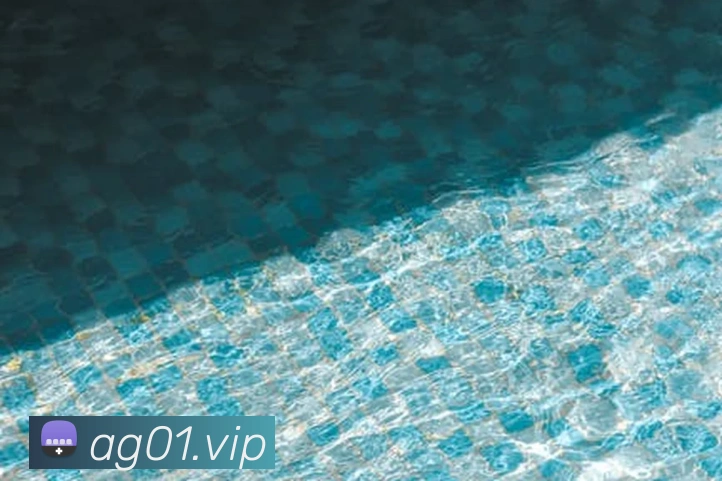 ag官网平台生态图